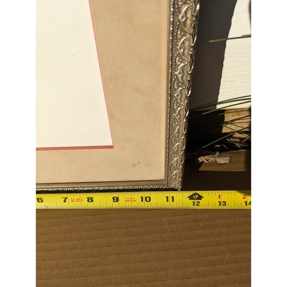 Vtg 70s Parrot Picture Handmade From Butterfly Wings African Art Framed W/Glass - Picture 9 of 10